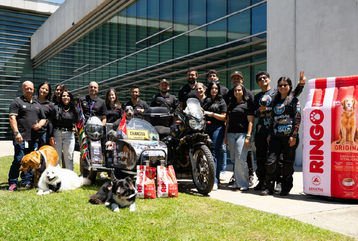 Yamaha y el Efecto Ringo